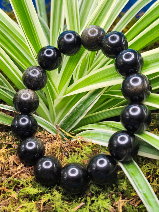 Golden Obsidian Bead bracelet 12mm